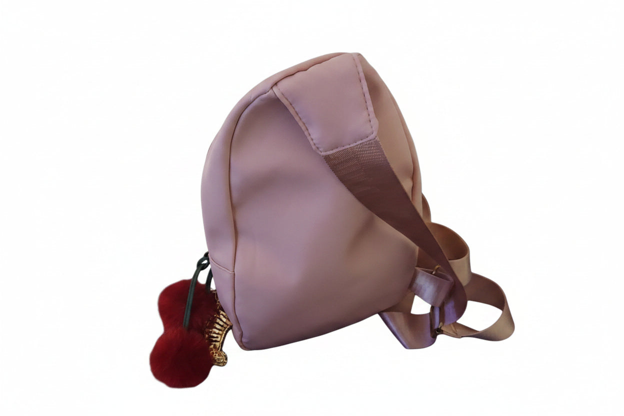 Crossbody bag w/keychain/bagcharm and bagcharm included
